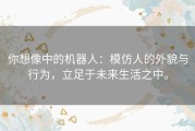 你想像中的机器人：模仿人的外貌与行为，立足于未来生活之中。