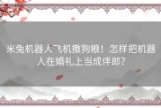 米兔机器人飞机撒狗粮！怎样把机器人在婚礼上当成伴郎？