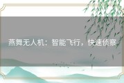 燕舞无人机：智能飞行，快速侦察