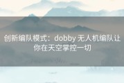 创新编队模式：dobby 无人机编队让你在天空掌控一切