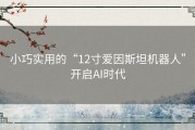小巧实用的“12寸爱因斯坦机器人”开启AI时代