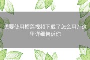 想要使用榴莲视频下载了怎么用？这里详细告诉你
