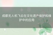 成都无人机飞云在文化遗产保护和维护中的应用