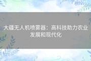 大疆无人机喷雾器：高科技助力农业发展和现代化