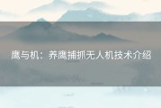 鹰与机：养鹰捕抓无人机技术介绍