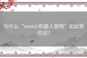 为什么“vivo小机器人音响”如此受欢迎？