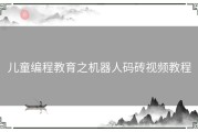儿童编程教育之机器人码砖视频教程