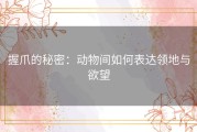 握爪的秘密：动物间如何表达领地与欲望