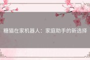 糖猫在家机器人：家庭助手的新选择