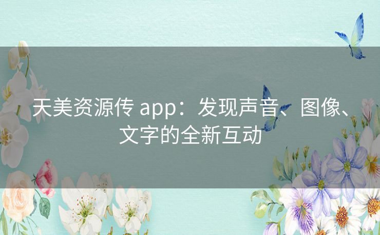 天美资源传 app：发现声音、图像、文字的全新互动
