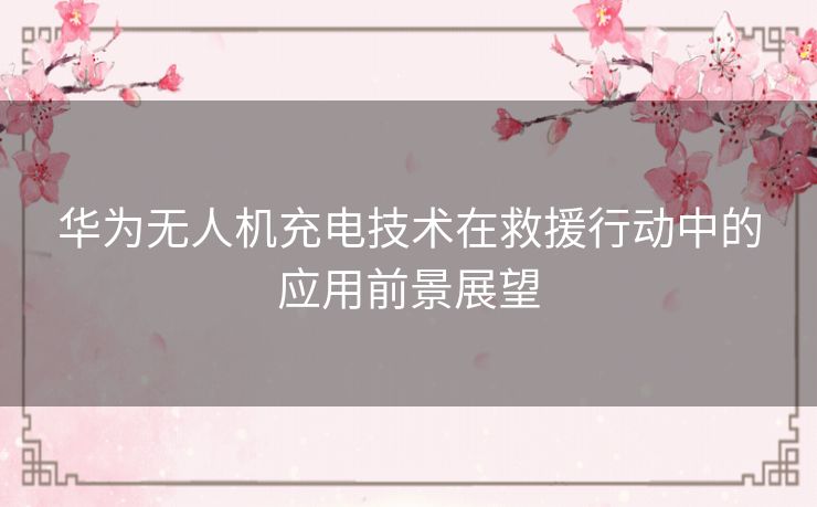 华为无人机充电技术在救援行动中的应用前景展望