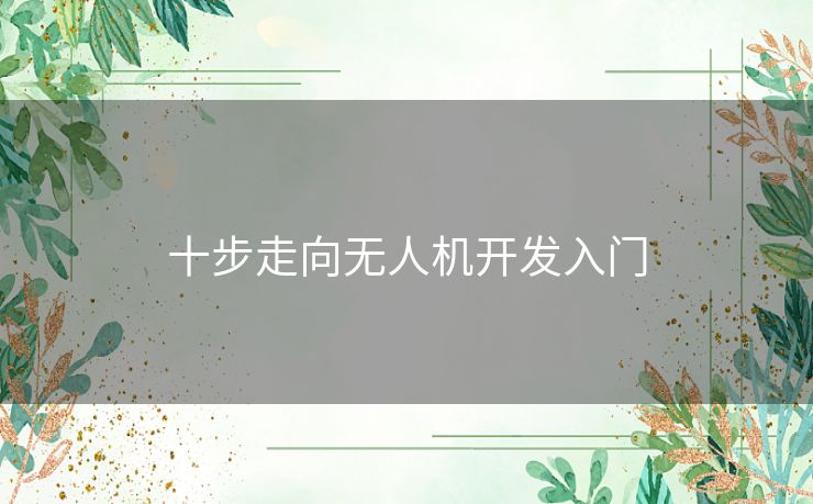 十步走向无人机开发入门