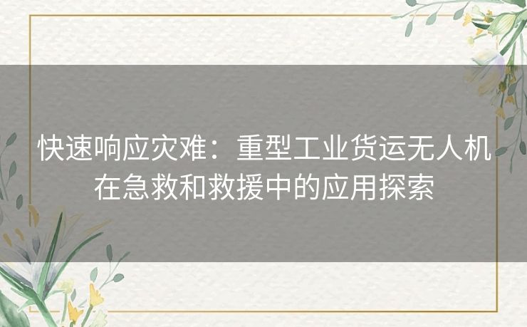 快速响应灾难：重型工业货运无人机在急救和救援中的应用探索