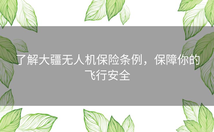 了解大疆无人机保险条例，保障你的飞行安全