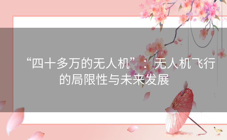 “四十多万的无人机”：无人机飞行的局限性与未来发展