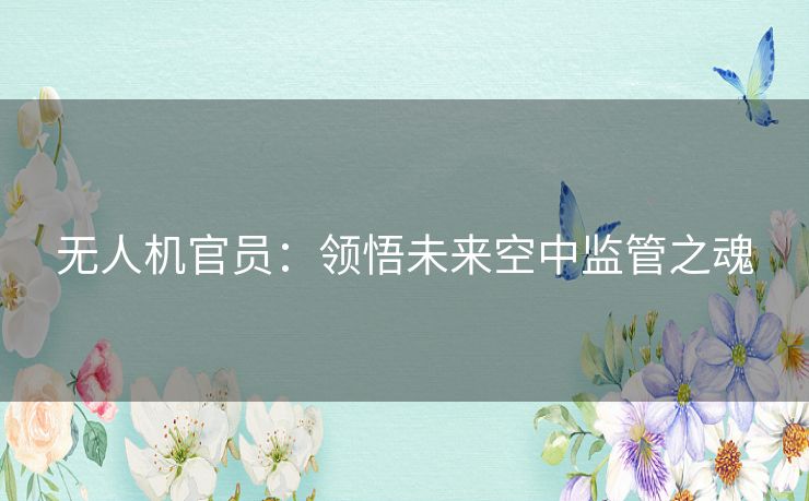 无人机官员：领悟未来空中监管之魂