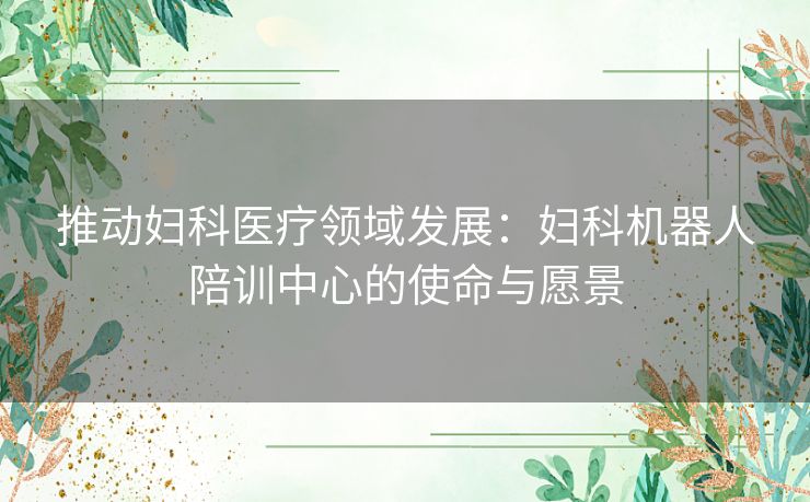 推动妇科医疗领域发展：妇科机器人陪训中心的使命与愿景