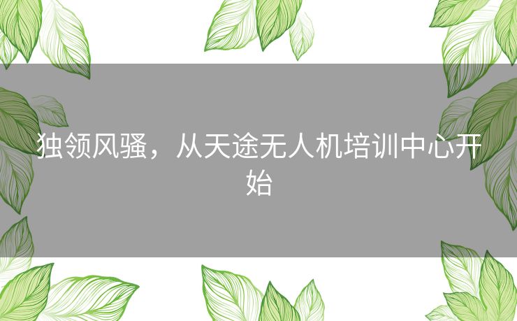 独领风骚，从天途无人机培训中心开始