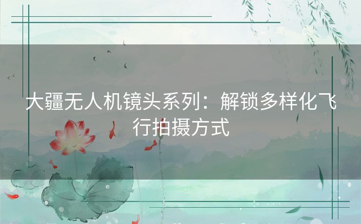大疆无人机镜头系列：解锁多样化飞行拍摄方式