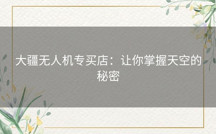 大疆无人机专买店：让你掌握天空的秘密