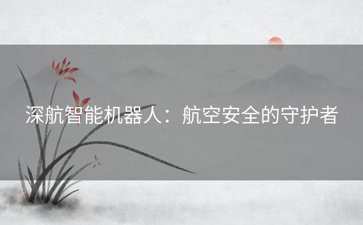 深航智能机器人：航空安全的守护者