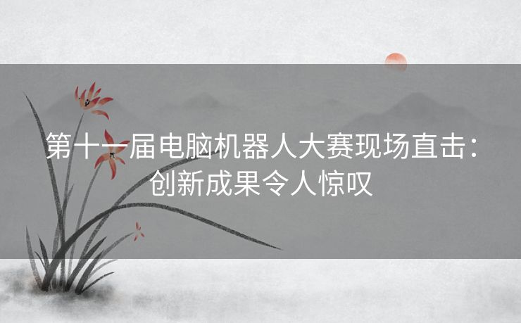 第十一届电脑机器人大赛现场直击：创新成果令人惊叹