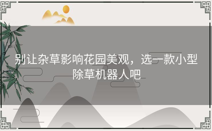 别让杂草影响花园美观，选一款小型除草机器人吧