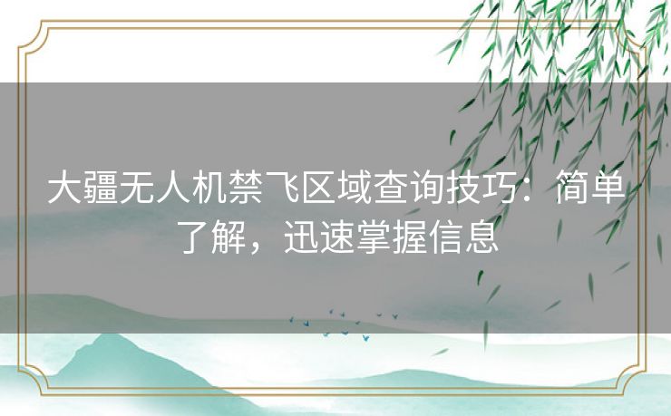 大疆无人机禁飞区域查询技巧：简单了解，迅速掌握信息