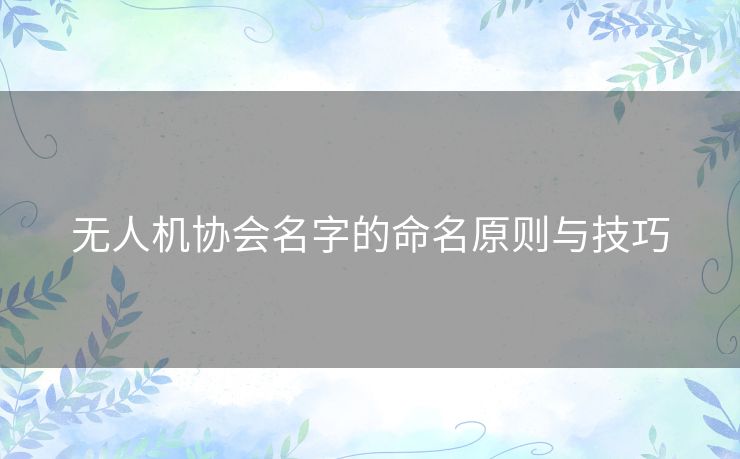 无人机协会名字的命名原则与技巧