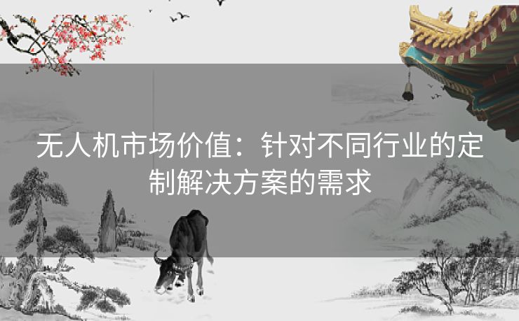 无人机市场价值：针对不同行业的定制解决方案的需求