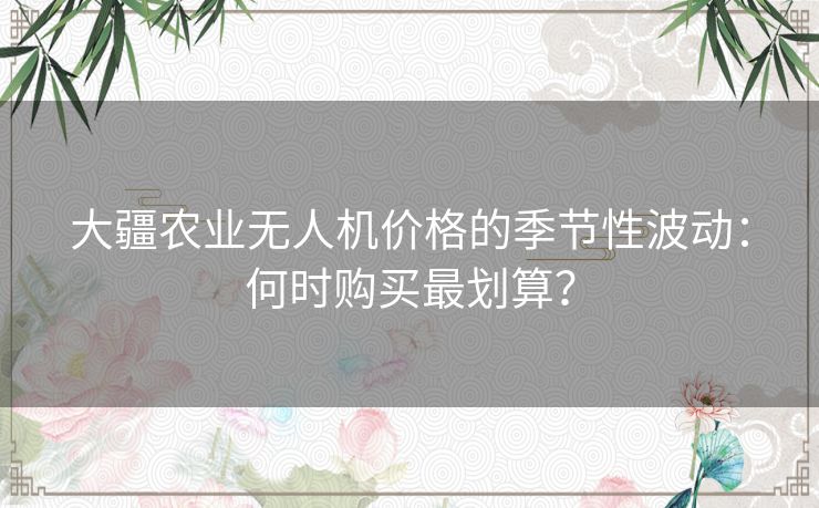 大疆农业无人机价格的季节性波动：何时购买最划算？