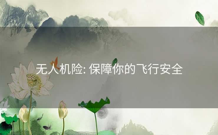 无人机险: 保障你的飞行安全