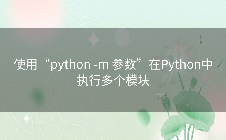 使用“python -m 参数”在Python中执行多个模块