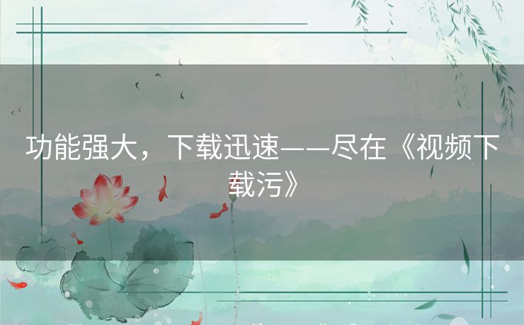 功能强大，下载迅速——尽在《视频下载污》