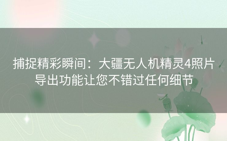 捕捉精彩瞬间：大疆无人机精灵4照片导出功能让您不错过任何细节