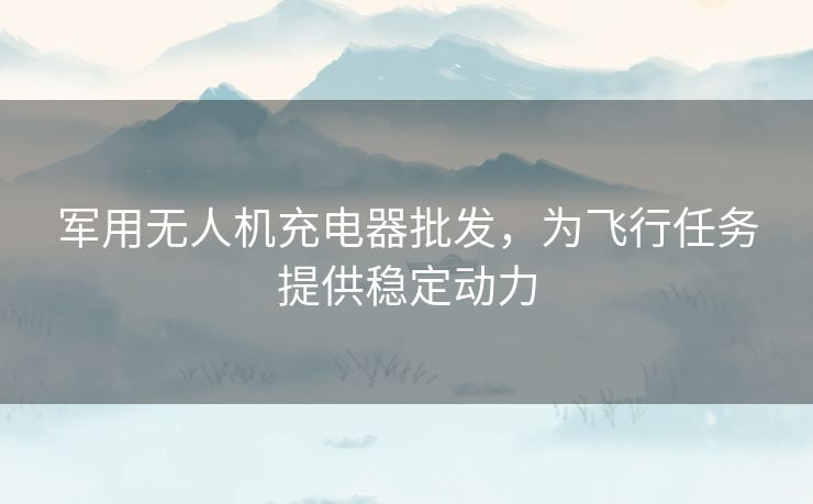 军用无人机充电器批发，为飞行任务提供稳定动力