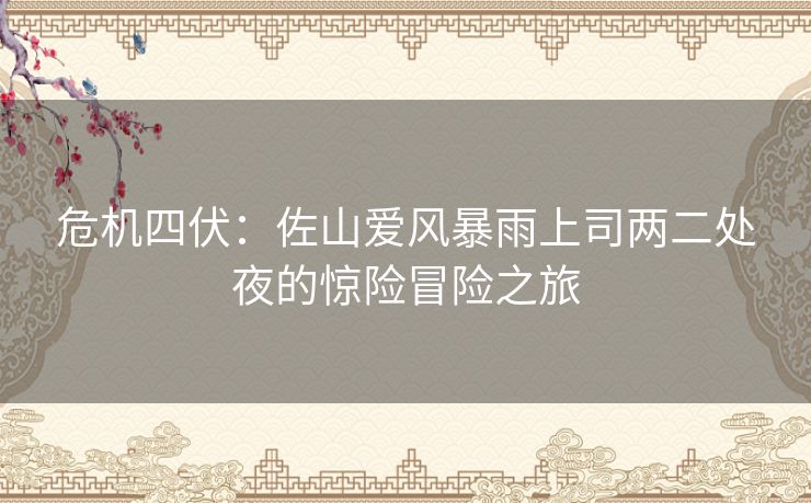危机四伏：佐山爱风暴雨上司两二处夜的惊险冒险之旅