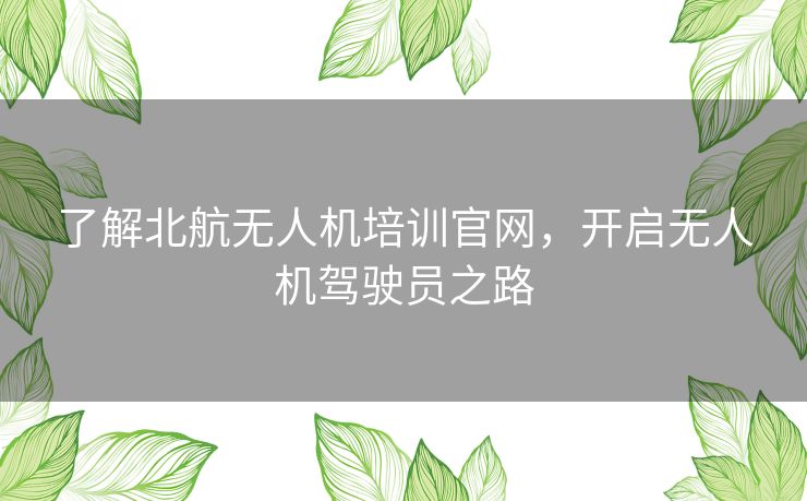 了解北航无人机培训官网，开启无人机驾驶员之路