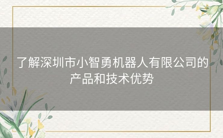 了解深圳市小智勇机器人有限公司的产品和技术优势