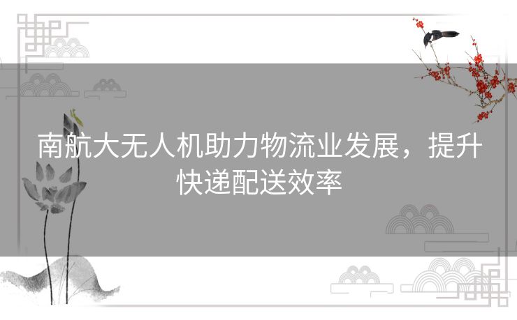 南航大无人机助力物流业发展，提升快递配送效率