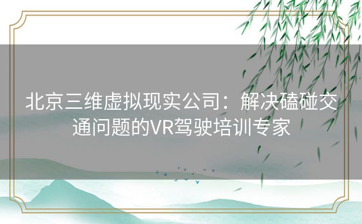北京三维虚拟现实公司：解决磕碰交通问题的VR驾驶培训专家