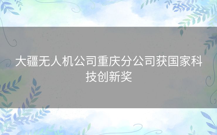大疆无人机公司重庆分公司获国家科技创新奖