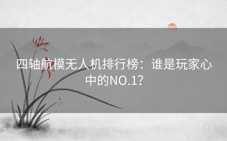 四轴航模无人机排行榜：谁是玩家心中的NO.1？
