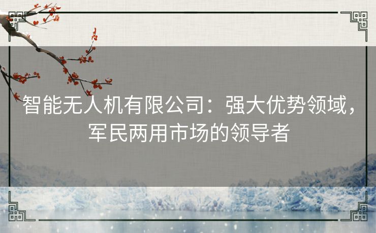 智能无人机有限公司：强大优势领域，军民两用市场的领导者