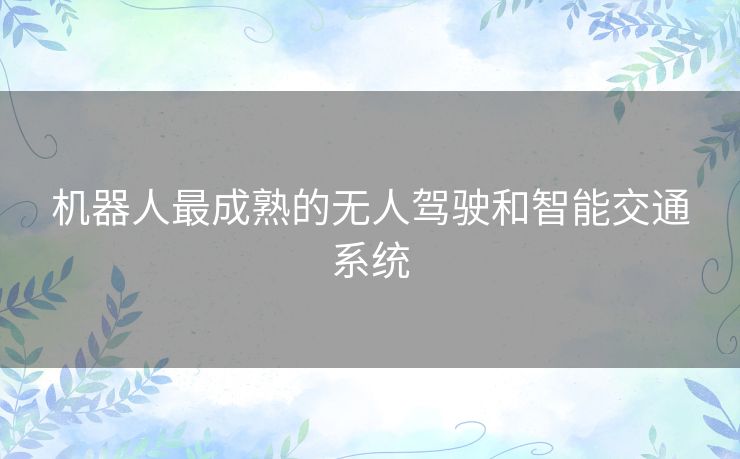 机器人最成熟的无人驾驶和智能交通系统