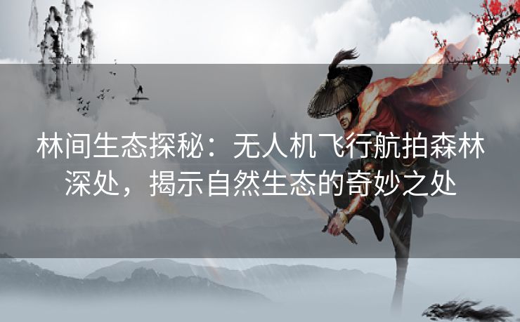 林间生态探秘：无人机飞行航拍森林深处，揭示自然生态的奇妙之处