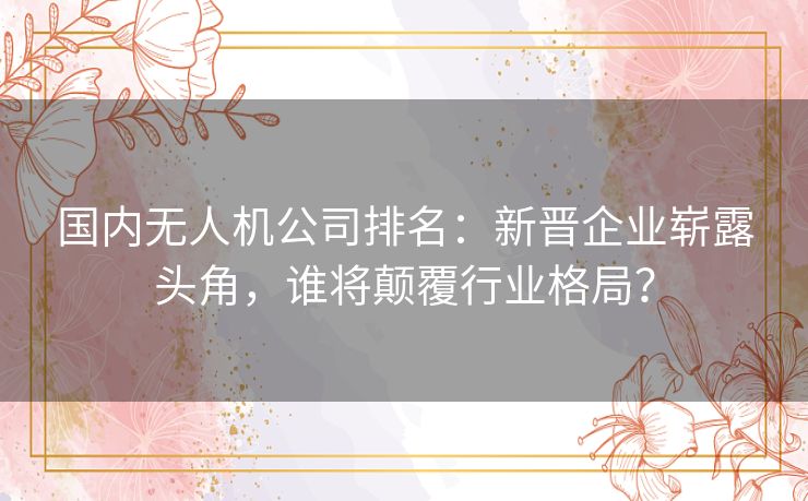 国内无人机公司排名：新晋企业崭露头角，谁将颠覆行业格局？