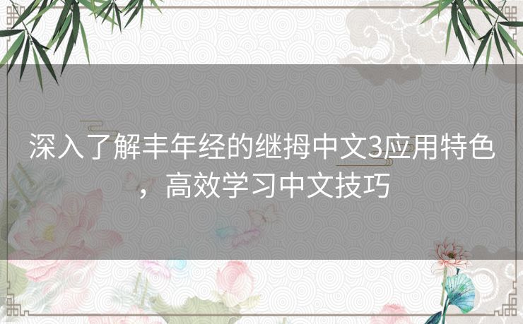 深入了解丰年经的继拇中文3应用特色，高效学习中文技巧