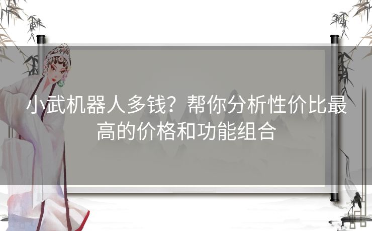 小武机器人多钱？帮你分析性价比最高的价格和功能组合