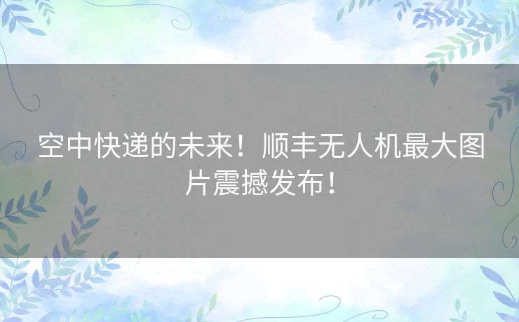 空中快递的未来！顺丰无人机最大图片震撼发布！